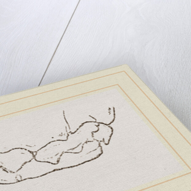 Teeth of Badger by Anonymous