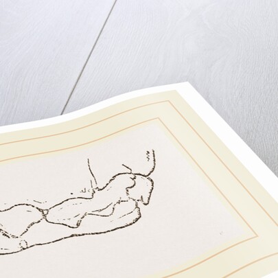 Teeth of Badger by Anonymous