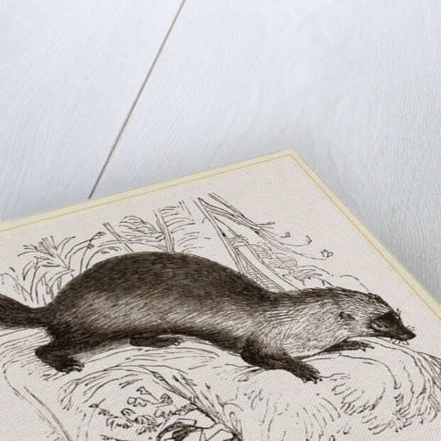 Glutton by Anonymous