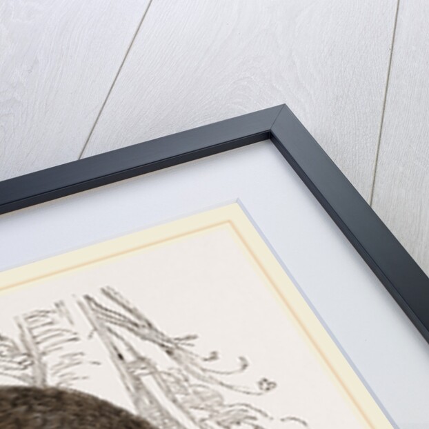 Glutton by Anonymous