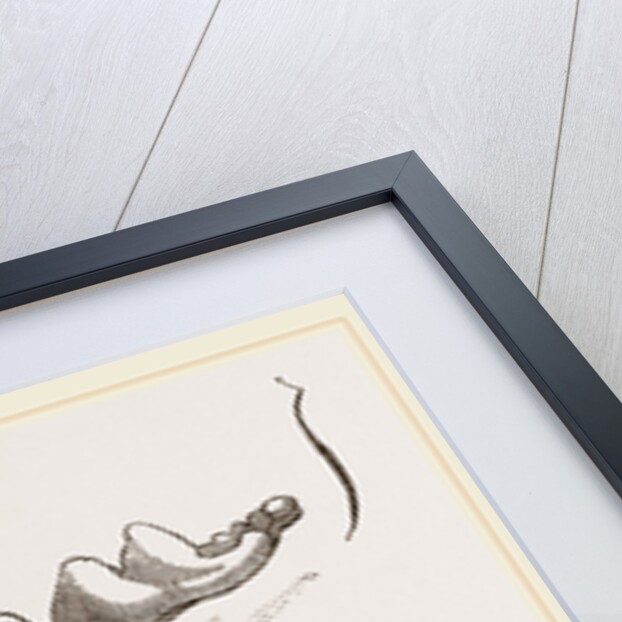 Teeth of Glutton by Anonymous