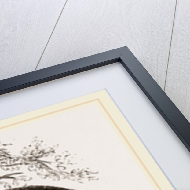 Garangan by Anonymous