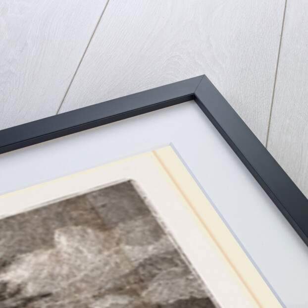 Sable-hunting by Anonymous