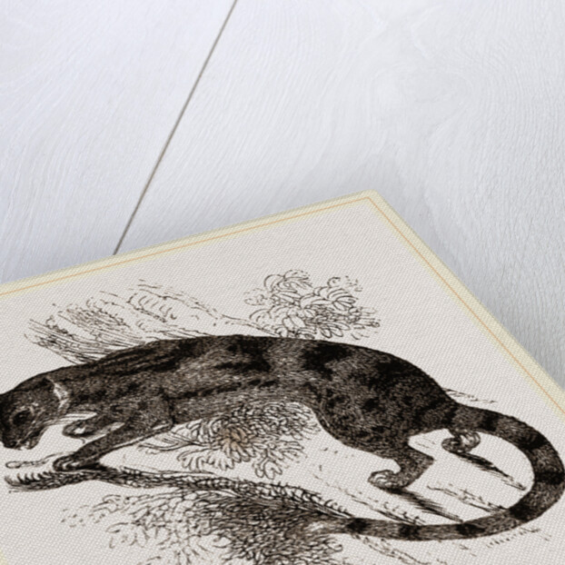 Delundung by Anonymous