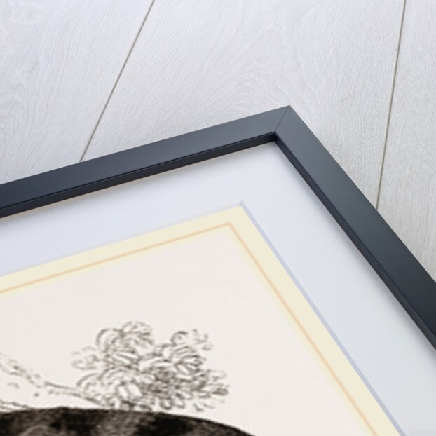 Delundung by Anonymous