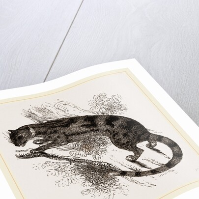 Delundung by Anonymous