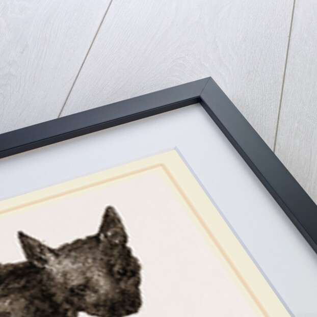 Striped Hyena by Anonymous