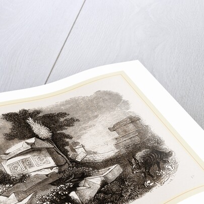 Striped Hyena by Anonymous