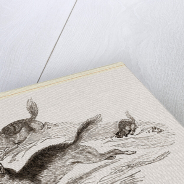 Jackals by Anonymous