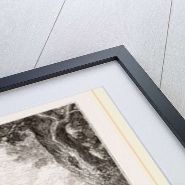 Wolf hunt, after Snyders by Anonymous