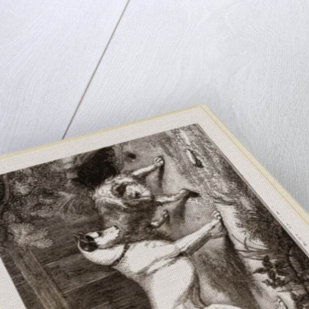 English and Scotch Terriers by Anonymous