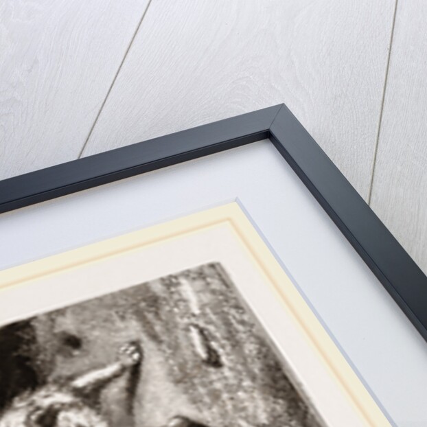 English and Scotch Terriers by Anonymous