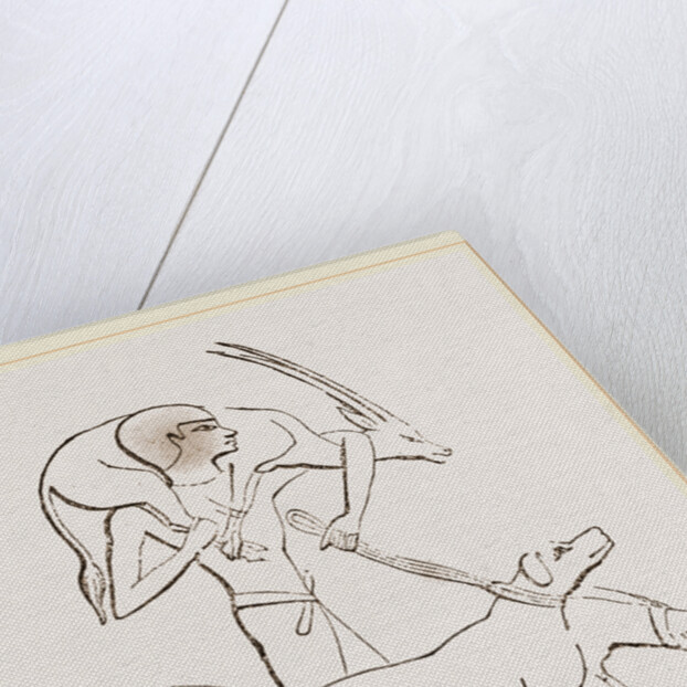 From an Egyptian Painting by Anonymous