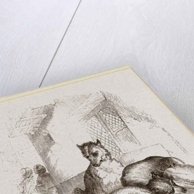 Street Dogs of the East by Anonymous