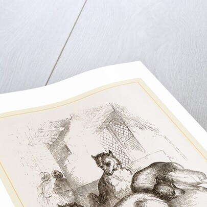 Street Dogs of the East by Anonymous