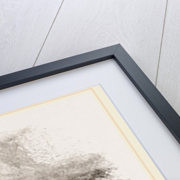 Scotch Greyhound by Anonymous