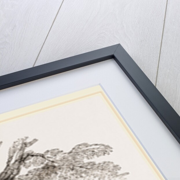 Cuban Blood-hounds by Anonymous