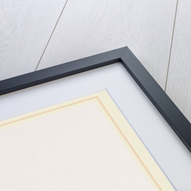 Skull of a Mastiff dog by Anonymous