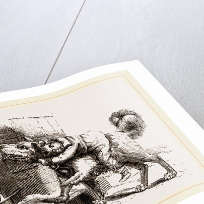 Dog of Mount St. Bernard by Anonymous