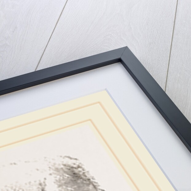 Feeth of Panda by Anonymous