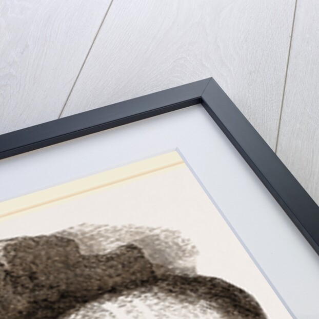 Polar Bear by Anonymous