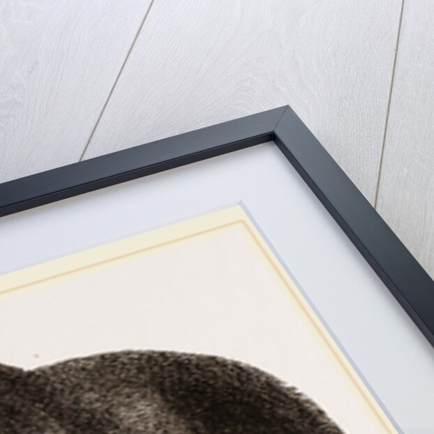 Grisly Bear by Anonymous