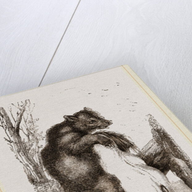 Bear with dead Horse by Anonymous