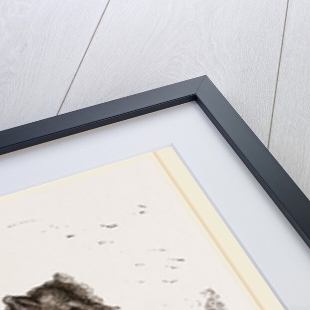 Bear with dead Horse by Anonymous