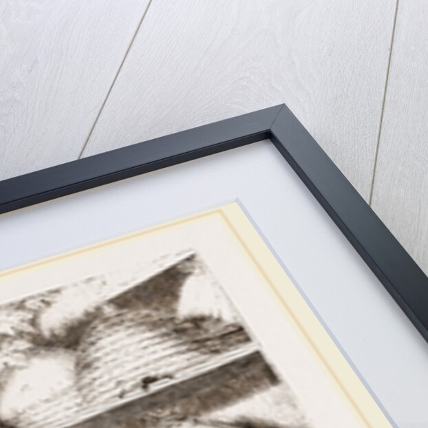 Bear and Bees by Anonymous