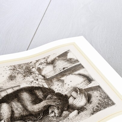 Bear and Bees by Anonymous