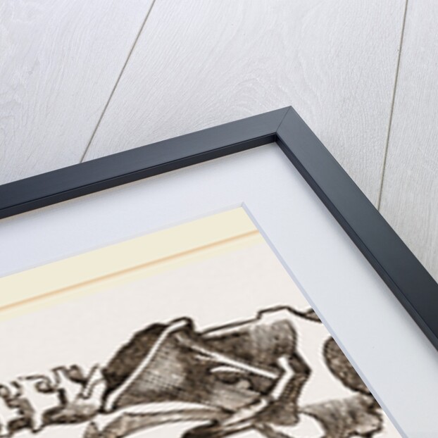 Skeleton of Pichiciago by Anonymous