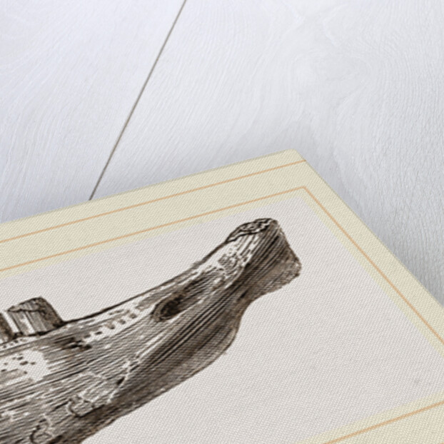 Lower Jaw of Mylodon Right branch by Anonymous