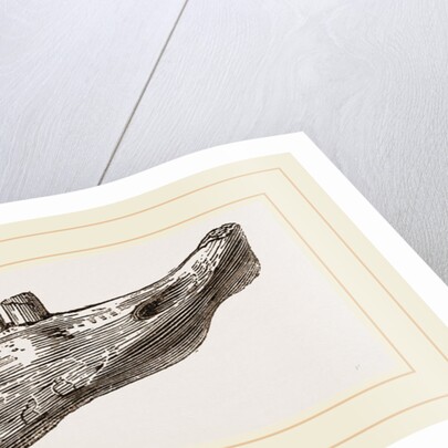 Lower Jaw of Mylodon Right branch by Anonymous