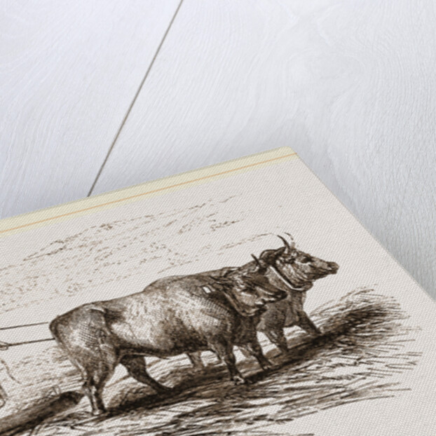 Oriental Threshing with the Drag by Anonymous