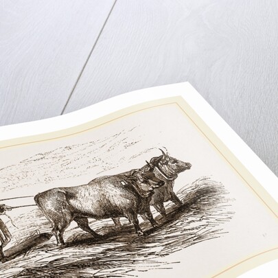 Oriental Threshing with the Drag by Anonymous