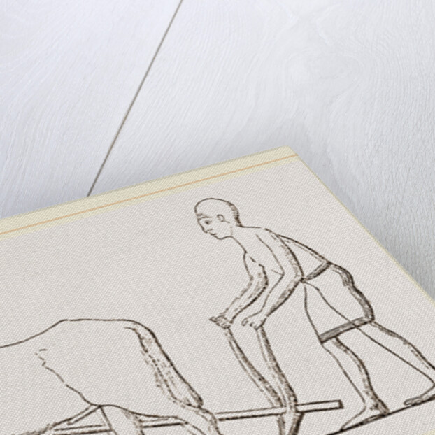 Ancient Egyptian Ploughing Egypt by Anonymous