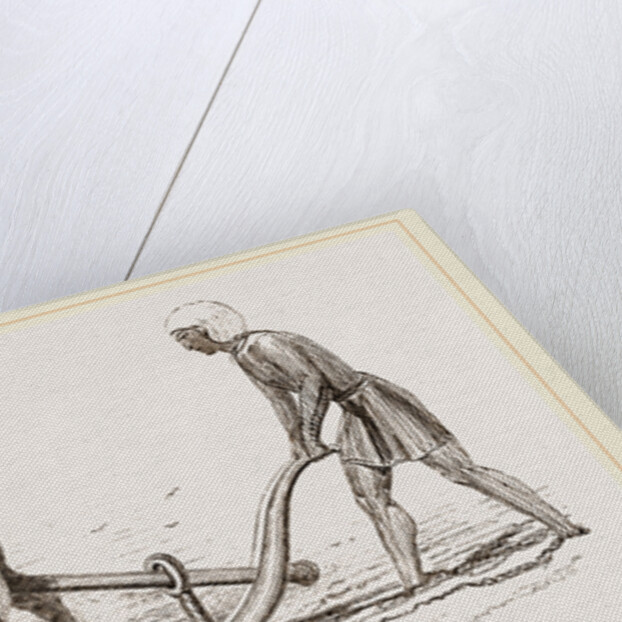 Ploughing with Ox and Ass by Anonymous