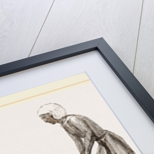 Ploughing with Ox and Ass by Anonymous