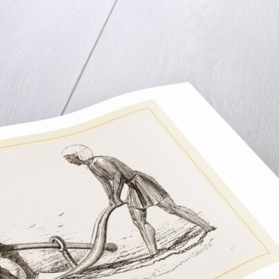 Ploughing with Ox and Ass by Anonymous