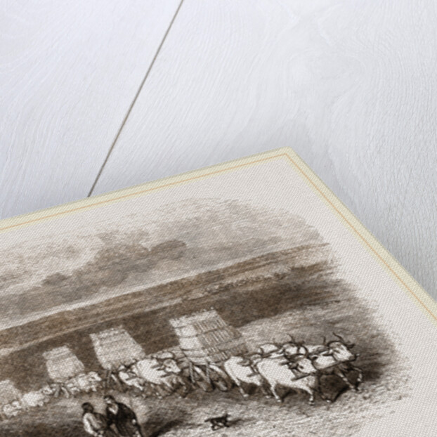 Bullock Caravan in Moldavia by Anonymous