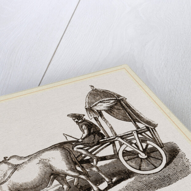 Zebus and Car by Anonymous