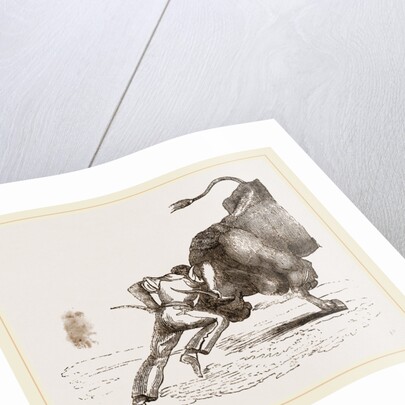 Bull fight by Anonymous