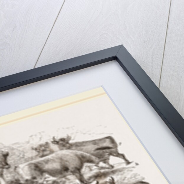 English Short-horned Cattle by Anonymous