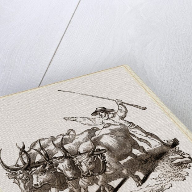 Driving Wild Cattle by Anonymous