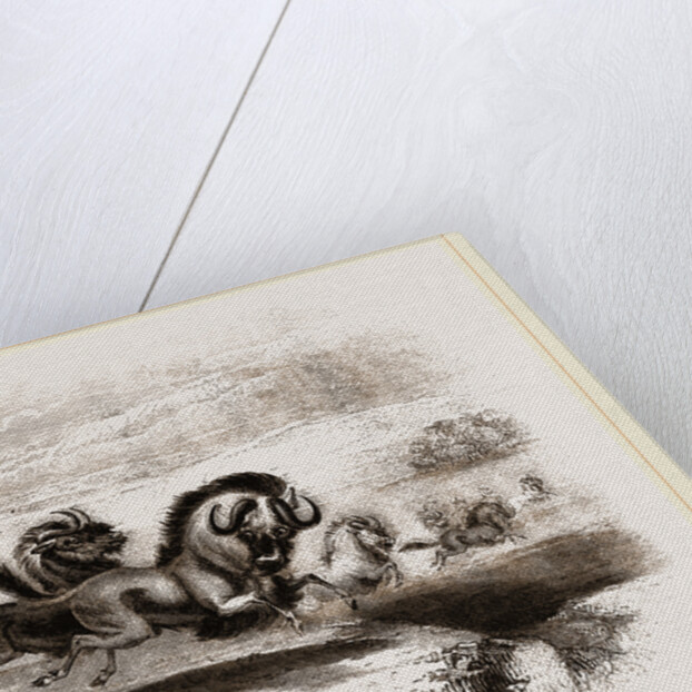 Herd of Gnus by Anonymous