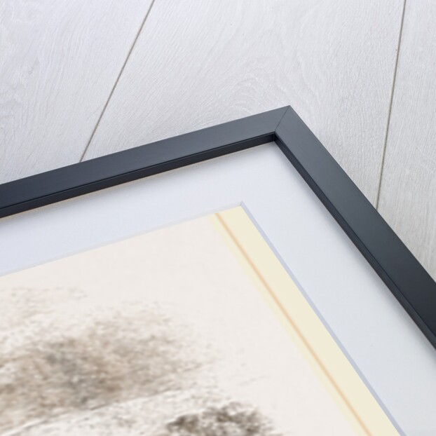 Herd of Gnus by Anonymous