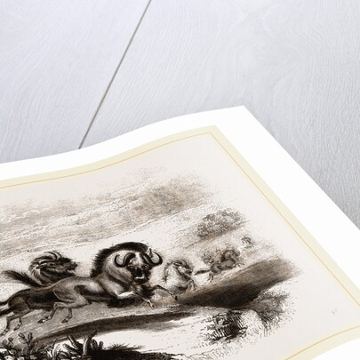 Herd of Gnus by Anonymous