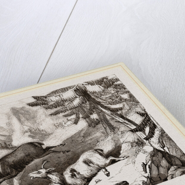 Hunting the Chamois by Anonymous