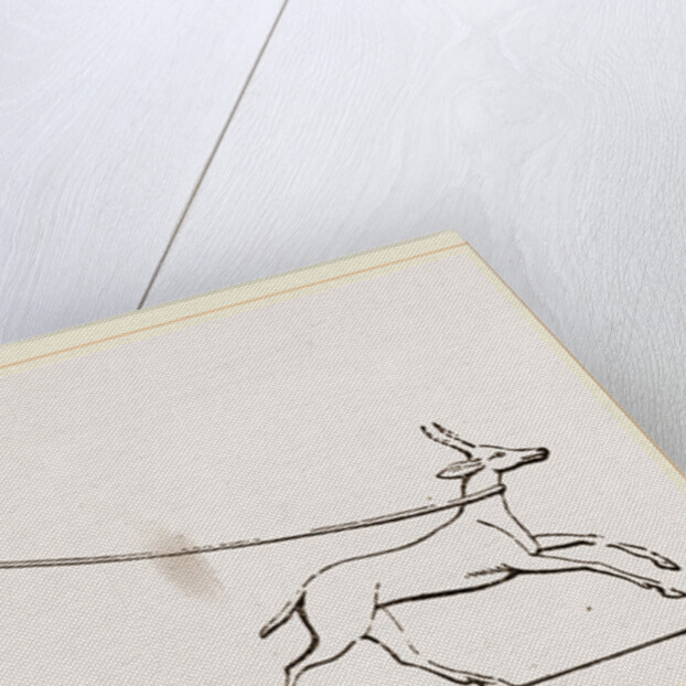 Gazelle caught in lasso Egyptian by Anonymous