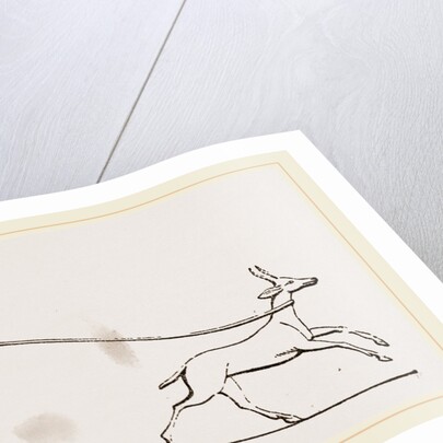 Gazelle caught in lasso Egyptian by Anonymous